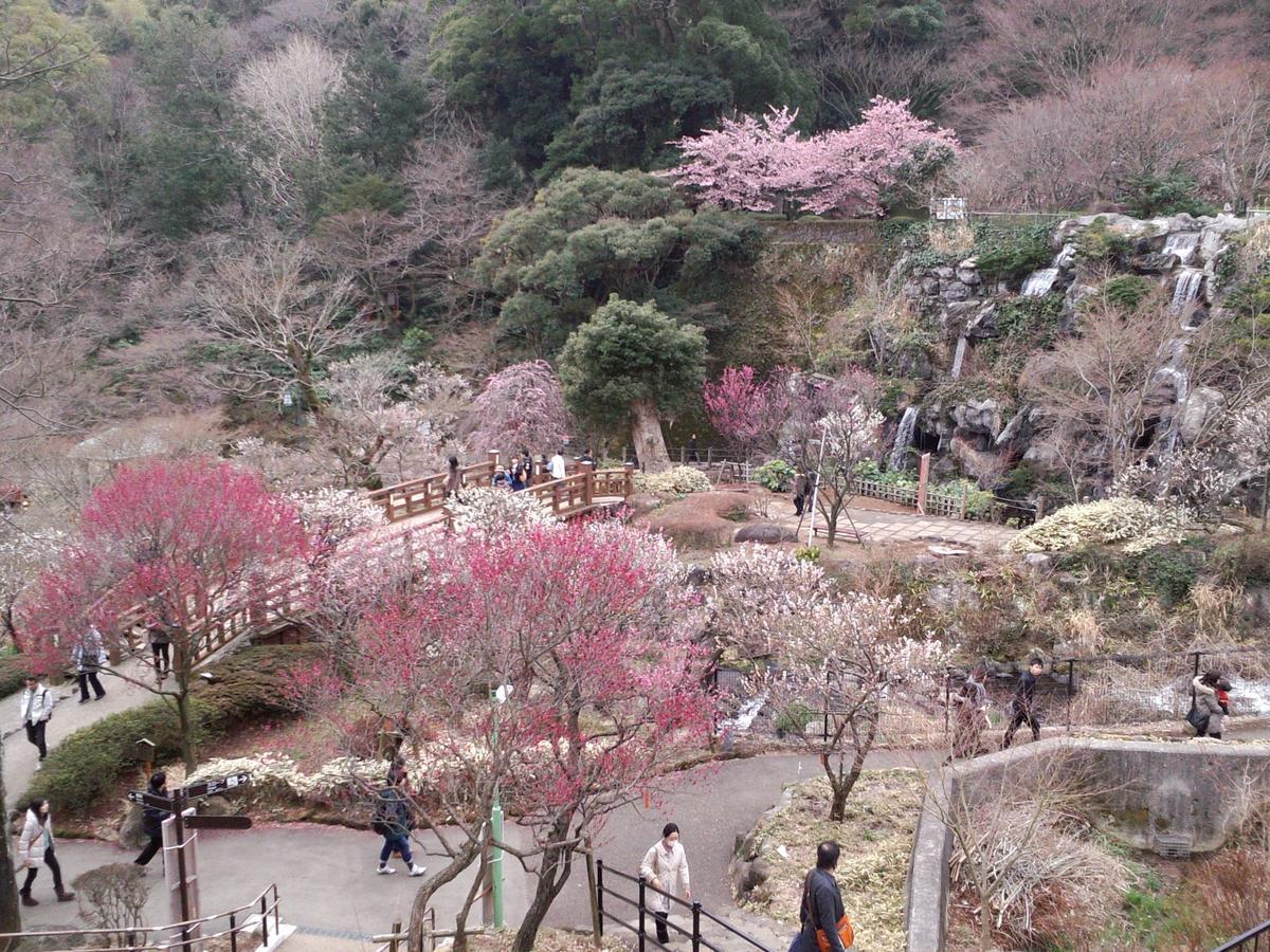 Tkp Lectore Atami Momoyama Luaran gambar