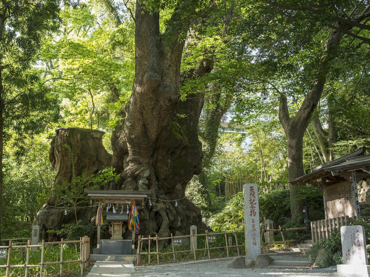 Tkp Lectore Atami Momoyama Luaran gambar